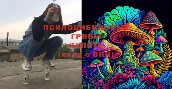 МДПВ Верея