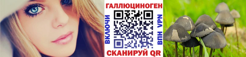 blacksprut зеркало  Красногорск  Псилоцибиновые грибы ЛСД  магазин продажи наркотиков 